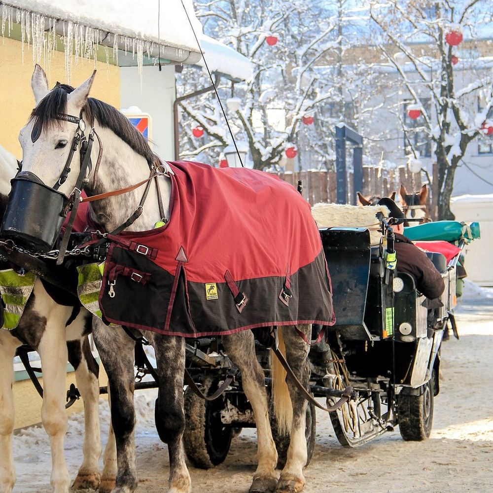 冬の馬車